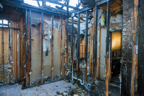 Professional Fire Damage Removal technician working in Inglis, FL